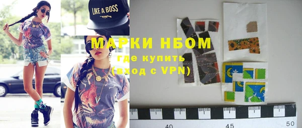 гидра Корсаков