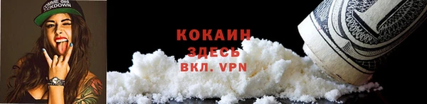 гашик Краснослободск