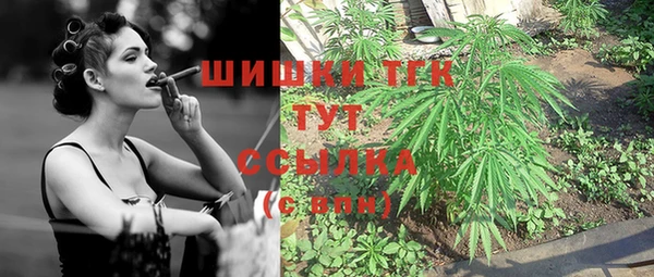 гашик Краснослободск