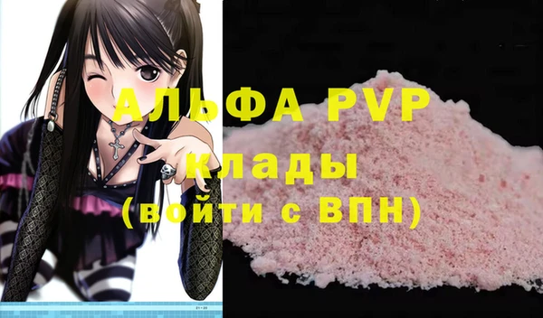 гидра Корсаков