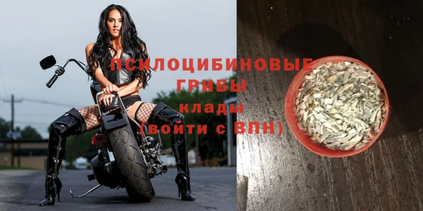 гидра Корсаков
