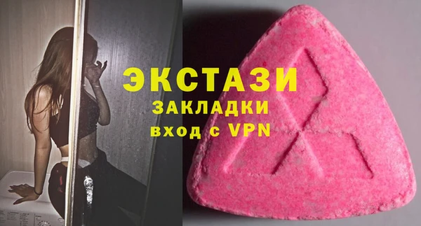 гашик Краснослободск