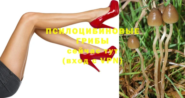 прущие крисы Коряжма