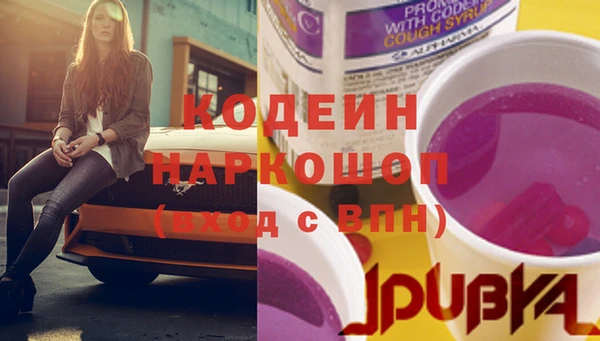 гидра Корсаков