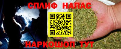 Альфа ПВП Кингисепп