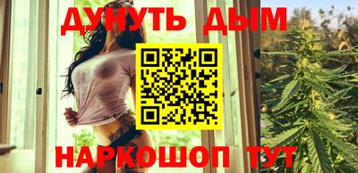 Альфа ПВП Кингисепп