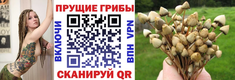 Галлюциногенные грибы мухоморы  mega зеркало  Кинель  цена  